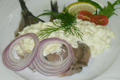 Matjes-III